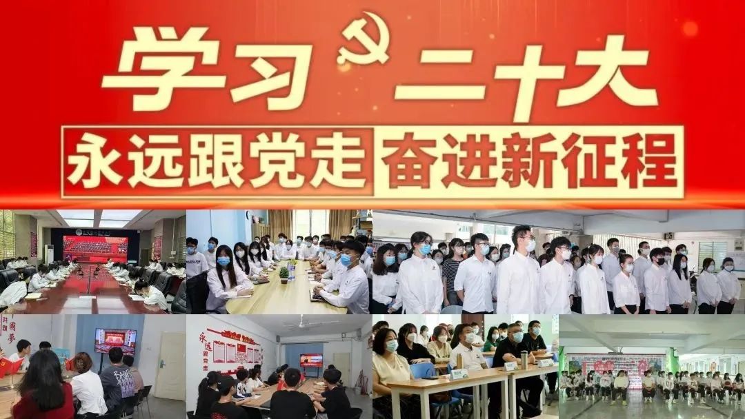 11.jpg 11.jpg