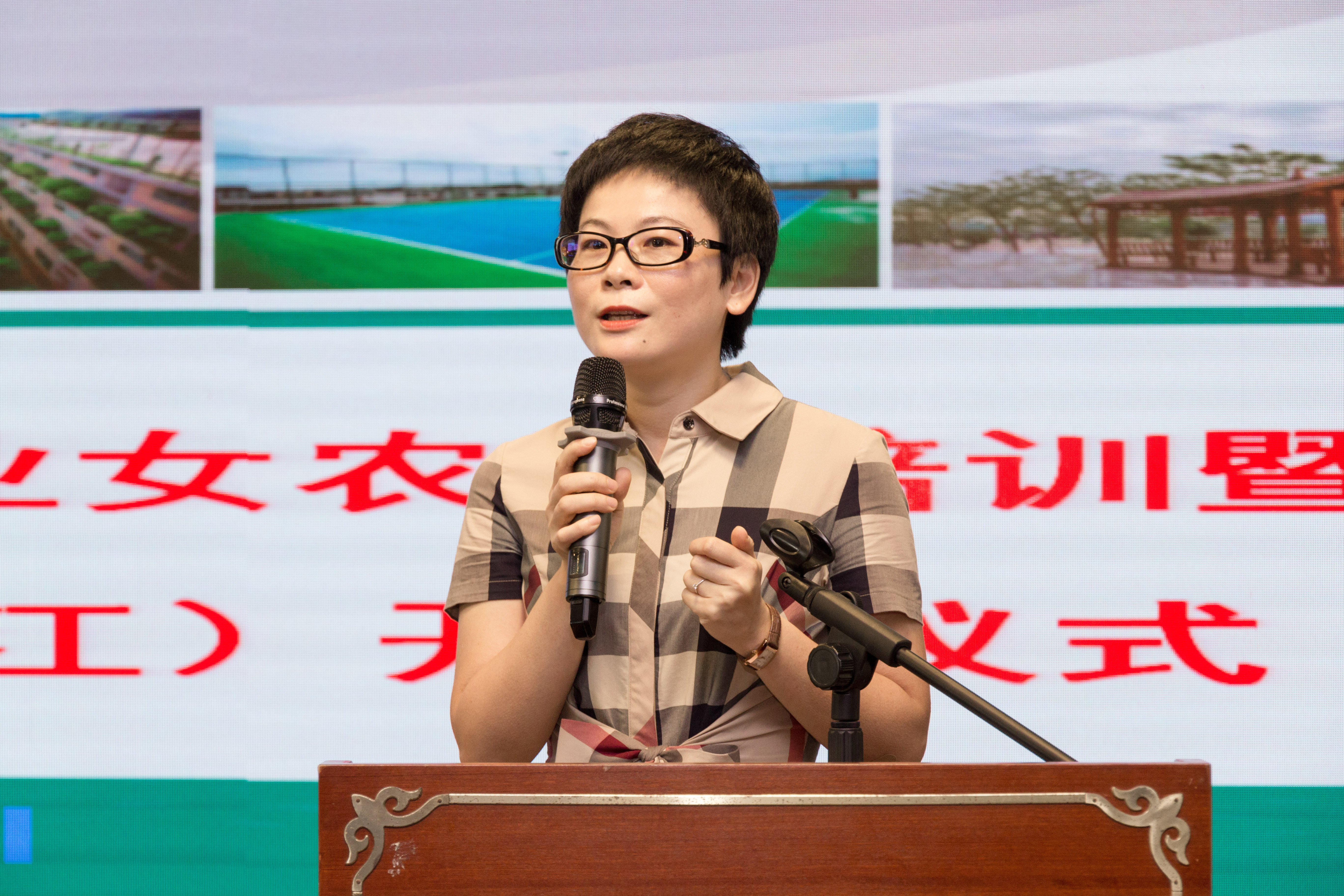 副主席丁玉梅 (2).jpg 副主席丁玉梅 (2).jpg