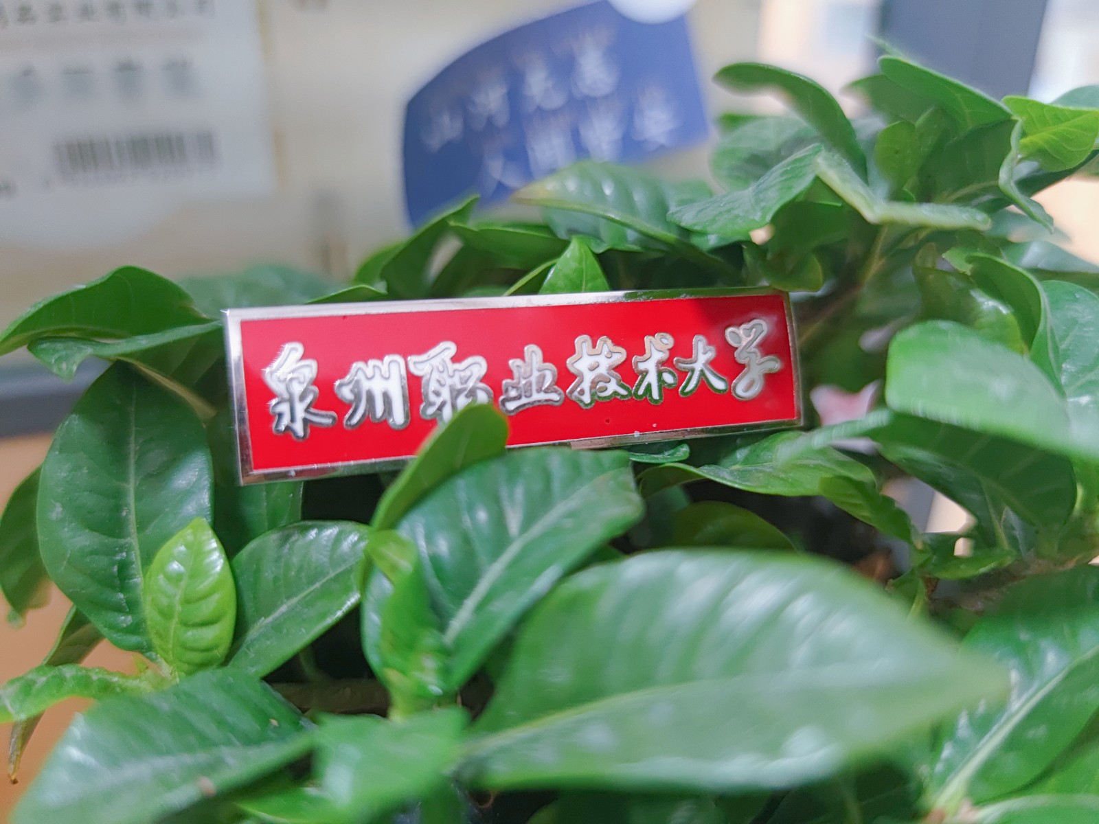 微信图片_20211005100342.jpg