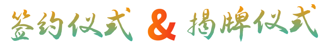 8.png 8.png
