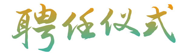 11.png 11.png